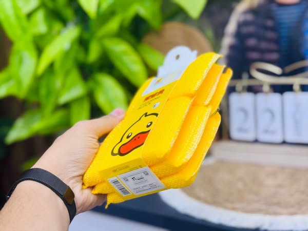 ليفة تنظيف بطوط 6 قطع